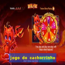 jogo do cachorrinho que ganha dinheiro